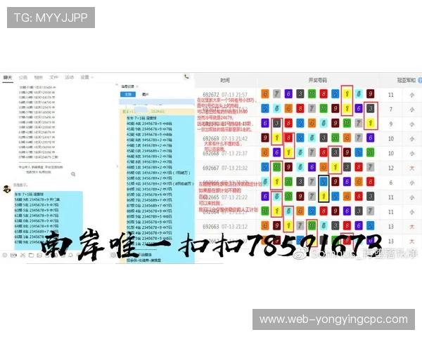 极速飞艇查询技巧与玩法分析，助你精准掌握投注技巧和走势规律
